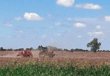 Santa Fe: se sembró 30 % de soja temprana y se cosechó el 20% de trigo