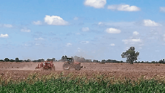Siembra-de-soja-santafe