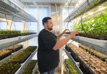 Gen Nativo: Cómo funciona el “multiplicador” de árboles para forestar campos cordobeses