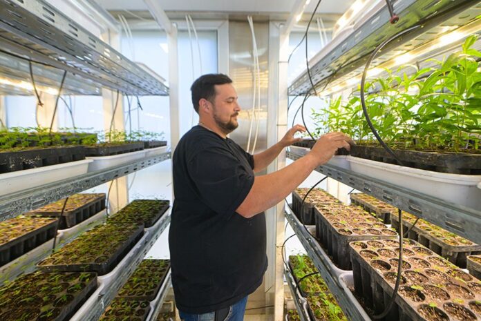 WhatsApp-Image-2025-11-10-at-09.29.47