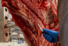 Afirman que el precio de la carne seguirá en alza: “Una pizza vale 35 mil pesos, todavía la carne es barata”