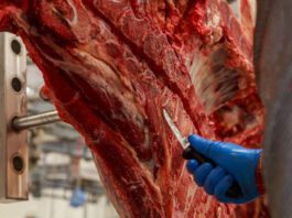 Afirman que el precio de la carne seguirá en alza: “Una pizza vale 35 mil pesos, todavía la carne es barata”