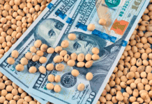 Proyectan que el campo cierre 2025 con US$ 37.150 millones liquidados