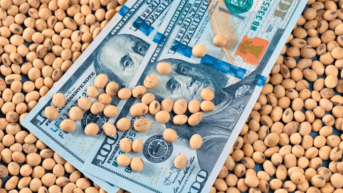 dolar-soja