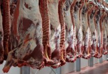 Precios en alza, exportaciones crecientes y un nuevo movimiento de piezas que mantiene expectante al mercado