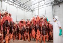 Argentina podrá exportar vísceras y subproductos de origen animal a Chile