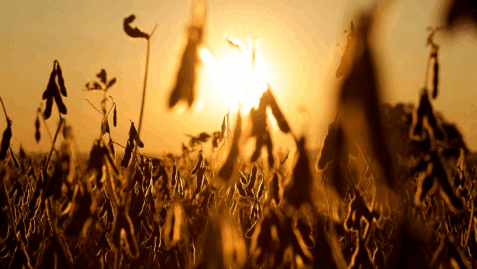 informe-economico-N°459-1024x682-1