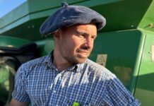 Un productor sembró 34 híbridos de 12 semilleras para evaluar rendimientos