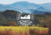 Una ONG ambientalista impulsa un modelo que une producción y conservación en toda la región