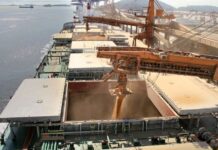 Récord de exportaciones de soja para noviembre