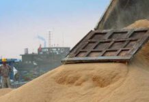 Hay indicios de que China seguirá enfocándose en Sudamérica para su abastecimiento