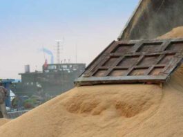 Hay indicios de que China seguirá enfocándose en Sudamérica para su abastecimiento