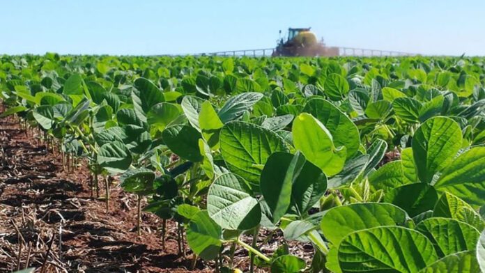 soja-pulverizacion-4