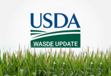 Mercado de granos: proyectan ‘máxima volatilidad’ hasta que el Usda publique su informe