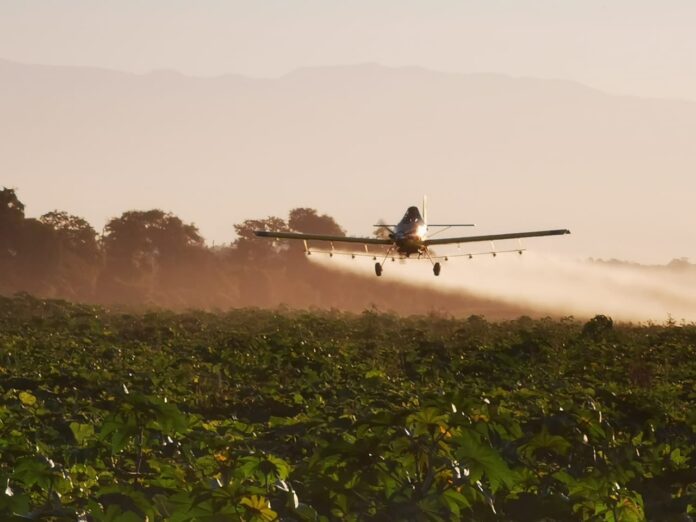 WhatsApp-Image-2026-01-26-at-11.36.09