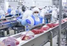 Córdoba concreta su primera exportación de carne refrigerada a Portugal desde el Aeropuerto Taravella