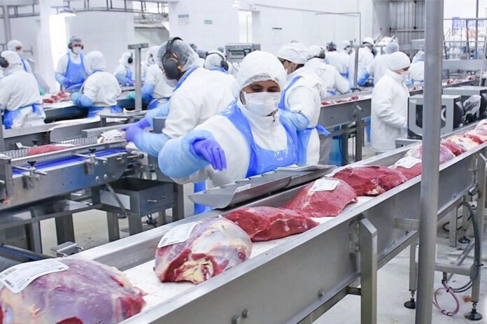 frigorifico-archivo (2)