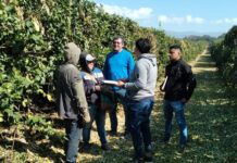 Sube 3%: primer aumento del año en la prestación por desempleo para trabajadores rurales