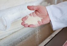 Cosecha récord, trigo débil: los molinos alertaron por la baja calidad panadera del cereal