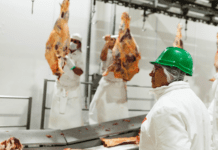 Las exportaciones de carne dejaron divisas por más de U$S 3.800 millones en 2025