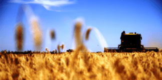 La agroindustria exportó más de 4.000 millones de dólares en enero