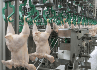 Se reabrirá el mercado de carne aviar con destino a la Unión Europea