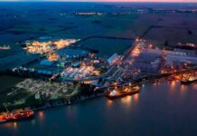 Importante repunte exportador de la agroindustria en enero