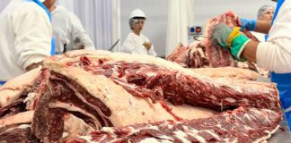 Nuevo año, nuevas reglas