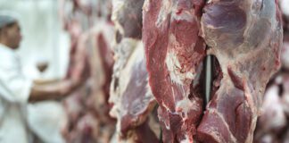 El precio de la carne podría aumentar hasta un 15% más entre febrero y marzo