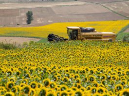 Las precipitaciones en el norte y centro de Santa Fe fueron dispares