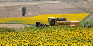 Las precipitaciones en el norte y centro de Santa Fe fueron dispares