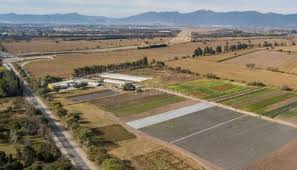 Se mantiene el buen nivel de actividad en la venta de campos