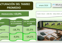 Oficial: el precio de la leche al productor se estancó y la rentabilidad cae a ‘zona roja’