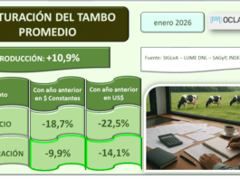Oficial: el precio de la leche al productor se estancó y la rentabilidad cae a ‘zona roja’