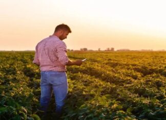 La confianza del campo sigue alta: 6 de cada 10 productores cree que es buen momento para invertir
