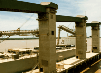 La ola exportadora del trigo argentino inunda el mercado global: es el más competitivo del mundo