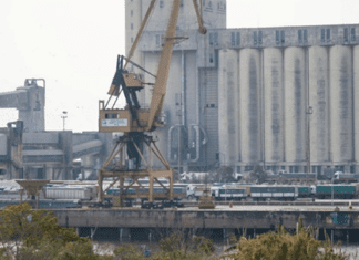 Agroexportadores cuestionan el paro aceitero y lo vinculan a una ‘resistencia corporativa’