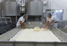 Inti organiza una jornada técnica para potenciar la competitividad de la industria quesera