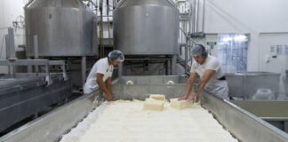 Inti organiza una jornada técnica para potenciar la competitividad de la industria quesera