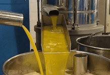 El crushing de soja continuó su tendencia decreciente en enero respecto al mismo de 2025