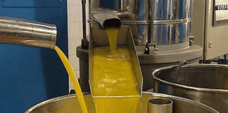 El crushing de soja continuó su tendencia decreciente en enero respecto al mismo de 2025