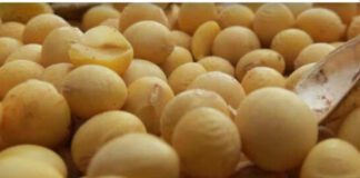 Desde Formosa, arribó a Rosario el Primer lote de soja de la campaña 2025/26