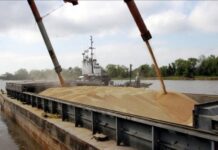 Soja: Sin cambios significativos dentro de la oferta y demanda global