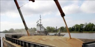 Soja: Sin cambios significativos dentro de la oferta y demanda global