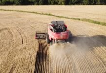 La economía creció 4,4% en 2025, con un fuerte impulso en diciembre dado por el trigo