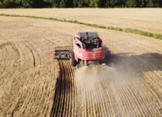 La economía creció 4,4% en 2025, con un fuerte impulso en diciembre dado por el trigo