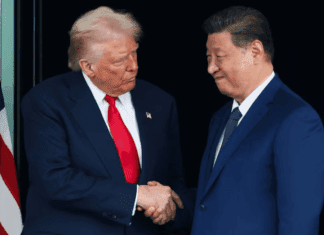 Trump habló con Xi Jinping, dijo que China le comprará más soja a EEUU y Chicago se entusiasmó