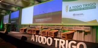 El 14 y 15 de mayo llega una nueva edición de A Todo Trigo 2026