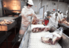 Las exportaciones de carne argentina en 2026 serían las segundas más altas de la historia