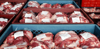Argentina logró avances en las negociaciones con Japón para exportar carne vacuna